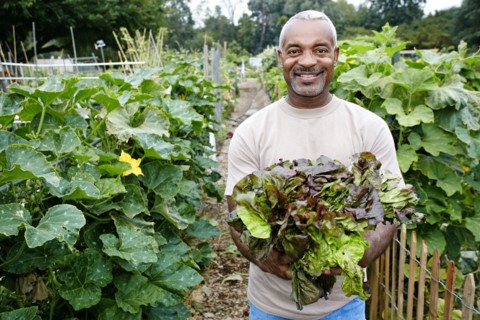 Black man holding lettuce in community garden