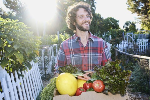 Caucasian man harvesting vegetables in garden