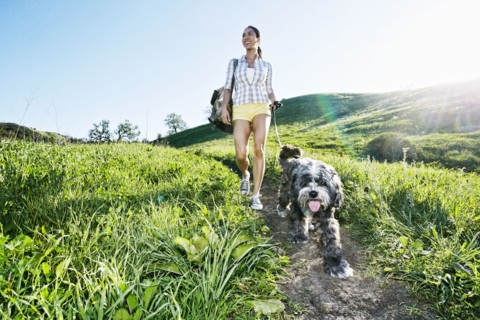 Mixed race woman walking dog on grassy hillside