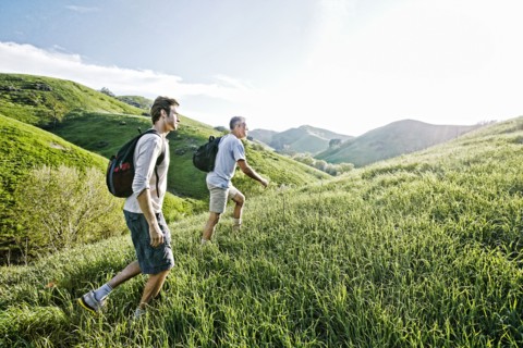 Caucasian father and son walking on grassy hillside
