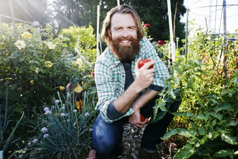 Caucasian man picking vegetables in garden