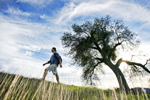 Caucasian man walking in field near tree