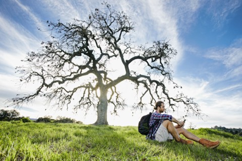 Caucasian man sitting in field near tree texting on cell phone