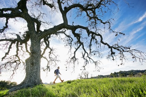Caucasian man walking in field near tree