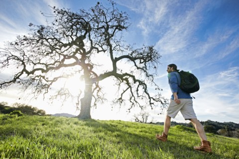 Caucasian man walking in field near tree
