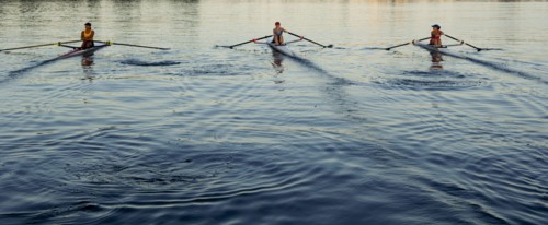 People rowing sculling boats on river