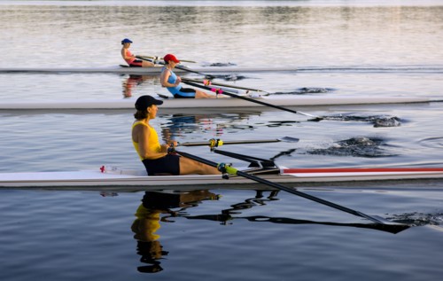People rowing sculling boats on river