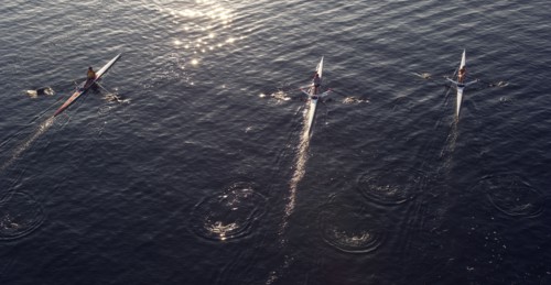 People rowing sculling boats on river