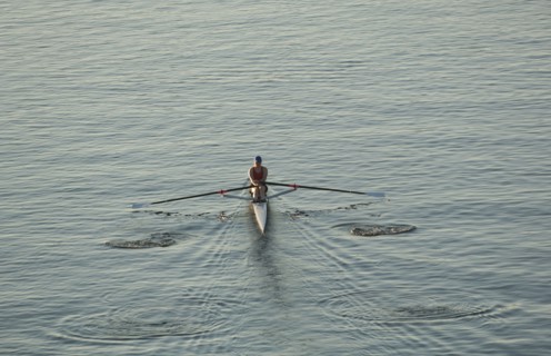 Person rowing sculling boat on river