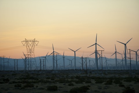 Wind farm in desert at sunset