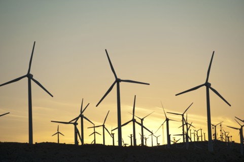 Wind farm in desert at sunset