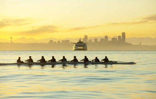 Team rowing boat in bay