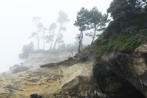 Rock formations on foggy coastline