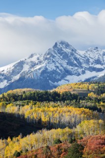 Snowy mountain and trees in rural landscape