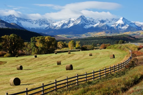 Hay bales in rural field