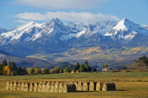 Hay bales in rural field