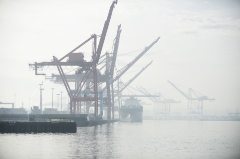 Shipping cranes in foggy industrial harbor