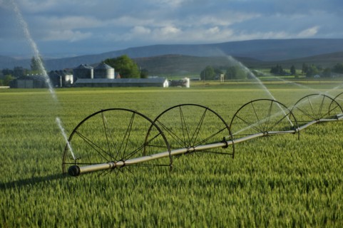 Irrigation system watering crops on farm field