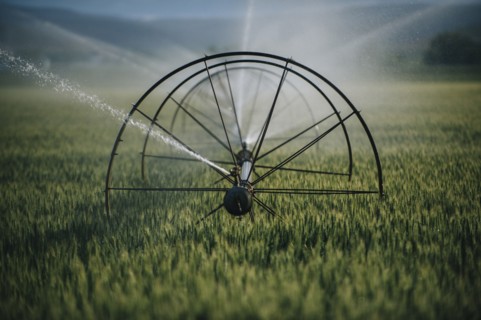 Irrigation system watering crops on farm field