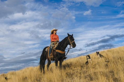 Caucasian woman on horseback on grassy hill