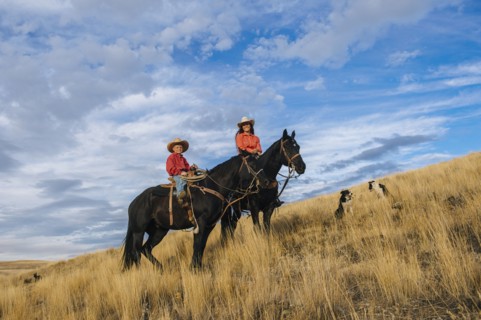 Caucasian mother and son on horseback on grassy hill