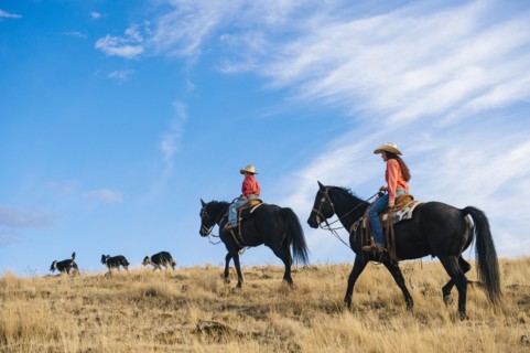 Caucasian mother and son on horseback on grassy hill