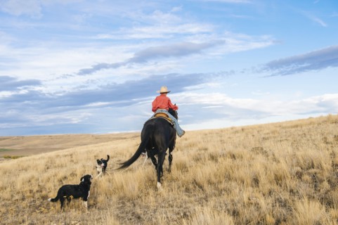 Caucasian boy riding horse on grassy hill