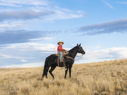 Caucasian boy on horseback on grassy hill