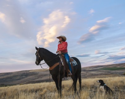 Caucasian woman sitting on horse in grassy field