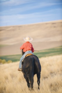 Caucasian boy riding horse in grassy field