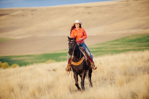 Caucasian woman riding horse in grassy field
