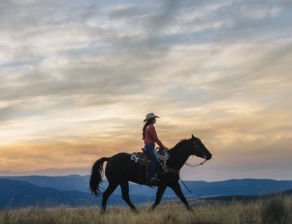Caucasian woman riding horse in grassy field