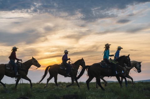 Cowgirls and cowboy riding horses in rural field