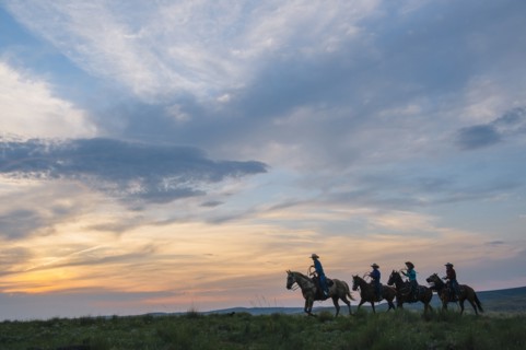 Cowgirls and cowboy riding horses in rural field