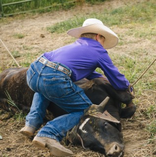 Cowboy tying cattle on ranch