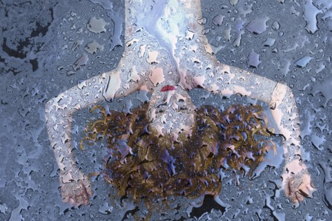 Caucasian woman laying under melting ice