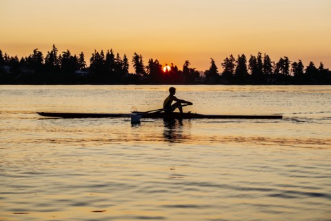 Silhouette of Caucasian man rowing at sunset