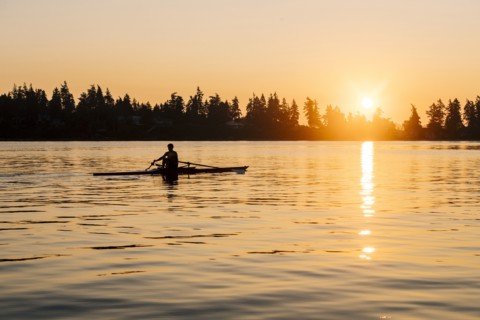 Silhouette of Caucasian man rowing at sunset