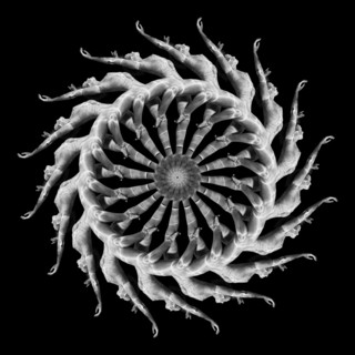 Multiple exposure of Caucasian woman swimming in spiral