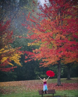 Caucasian woman holding umbrella in rain on park bench