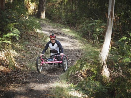 Man riding modified bicycles on forest path