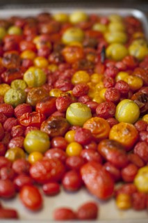 Tray of roasted tomatoes