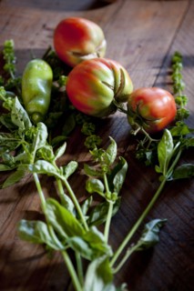 Ripening tomatoes and basil