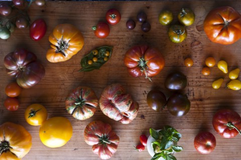 Variety of tomatoes