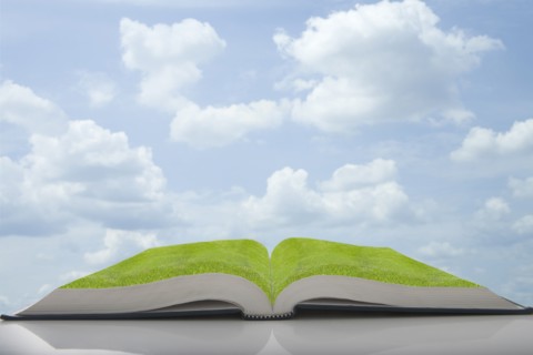 Green grass growing in pages of book