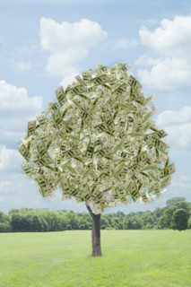 Illustration of dollar bills growing on tree