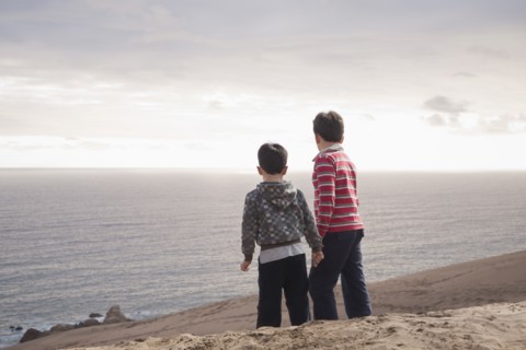 Hispanic brothers standing on sand dunes on beach