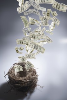 Dollar bills leaving nest