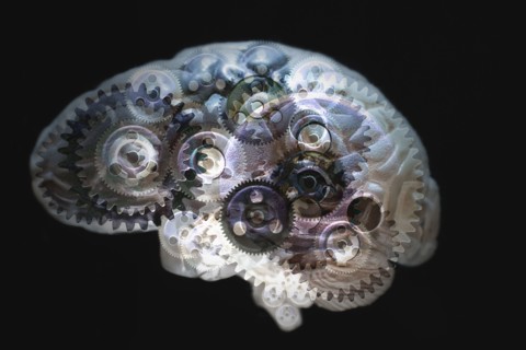 Mechanical gears turning in brain