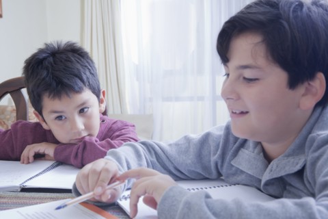 Hispanic brothers doing homework at table